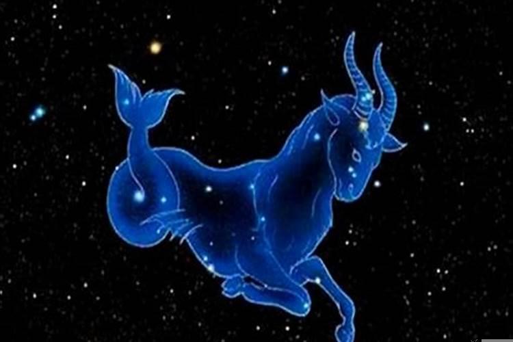 摩羯座为什么那么努力