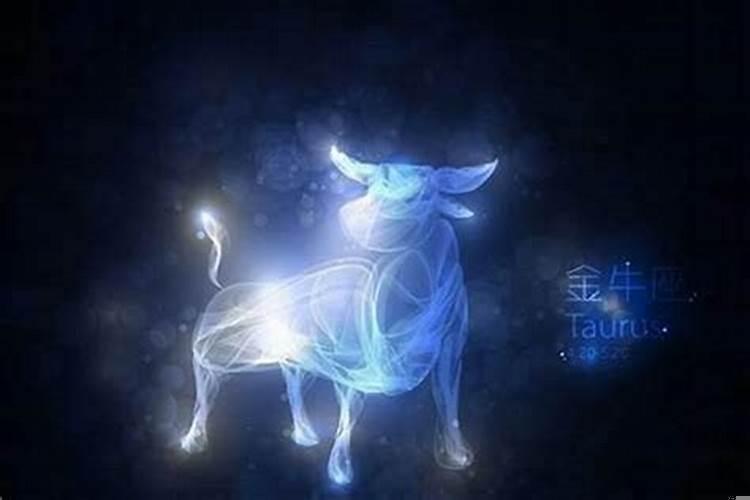 十二星座在爱情里对哪个星座最狠心呢