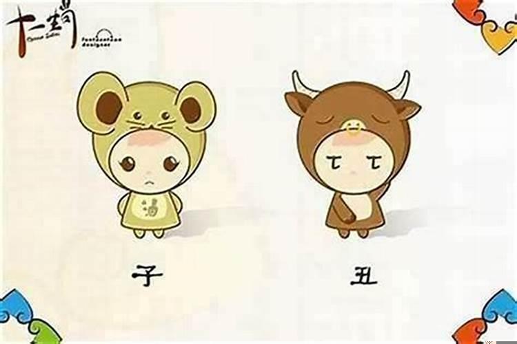 生肖鼠与各生肖婚配