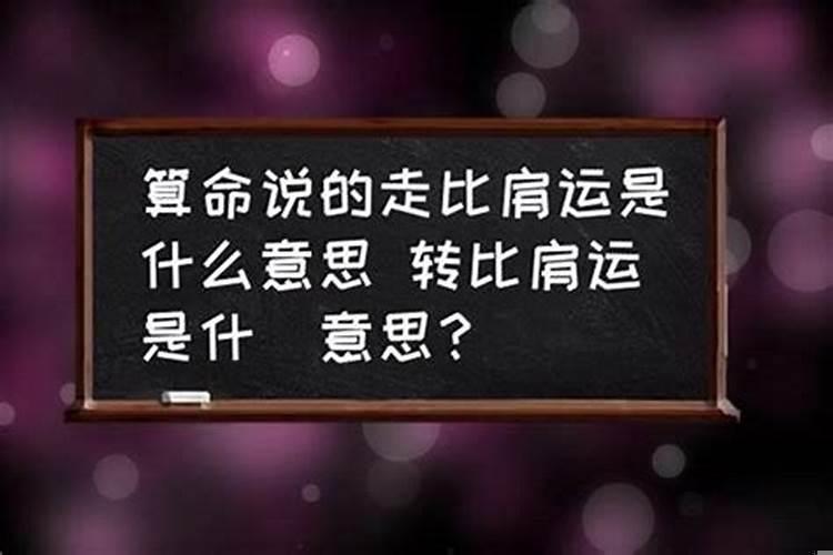 八字比肩运是什么意思
