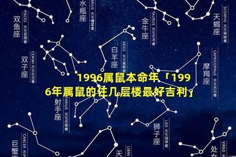 生肖鼠的人住几层楼比较好