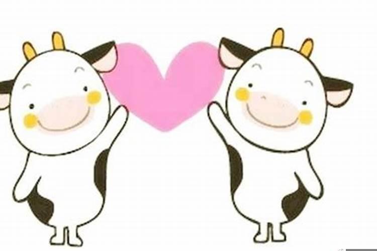 1997年属牛一生运势及运程