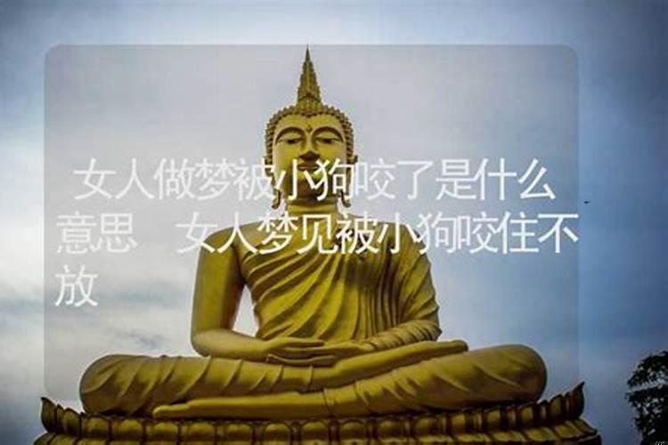 做梦梦见被马咬了