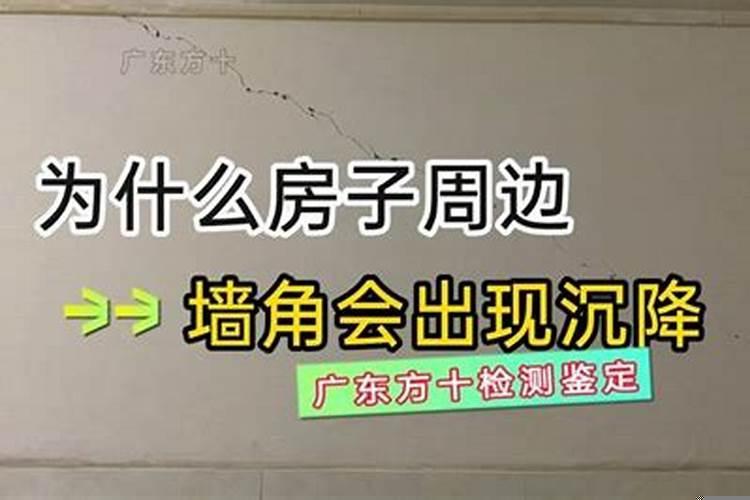 门口种什么植物旺财