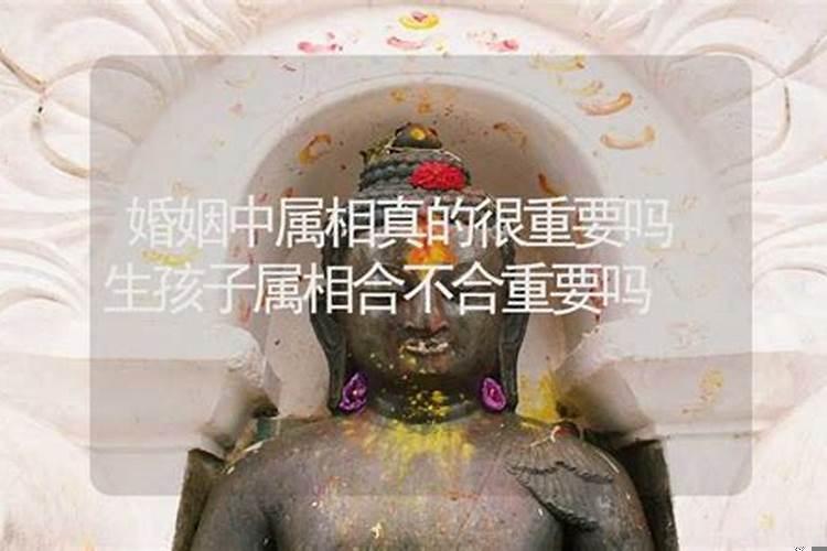 夫妻属相不合怎么化解