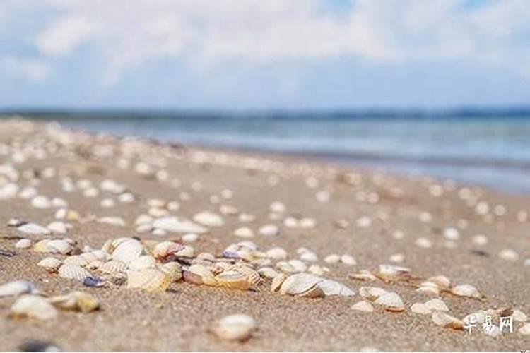 50岁走好运会不会太晚