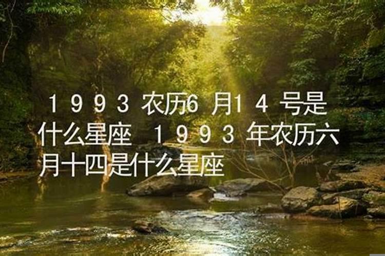 1993年农历六月是什么命