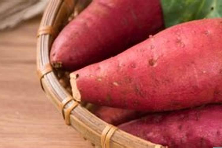 女人梦见吃红薯是什么意思