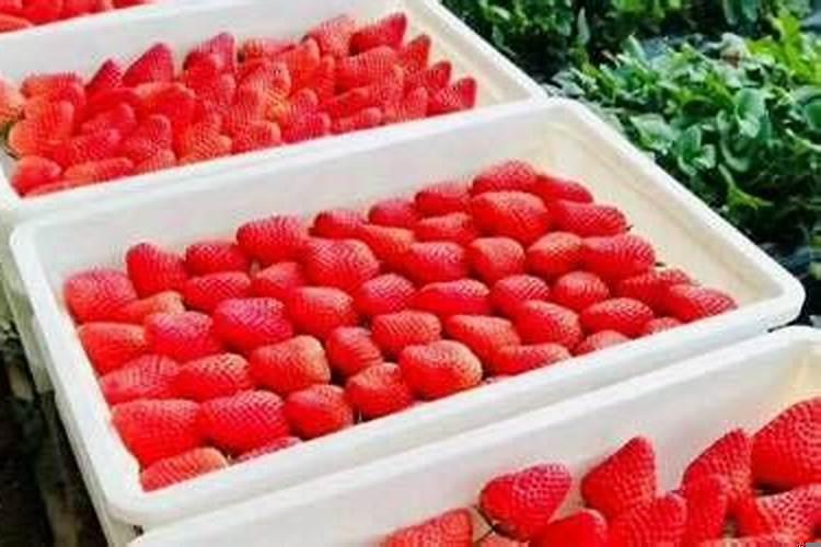 八字4两5钱的命运