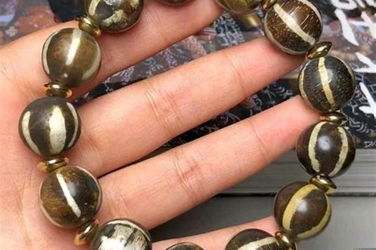 什么是木化石线珠