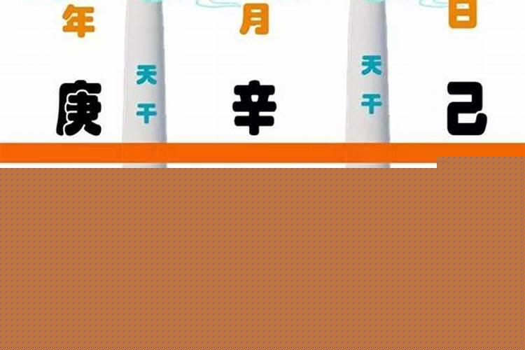 八字看日干还是日支