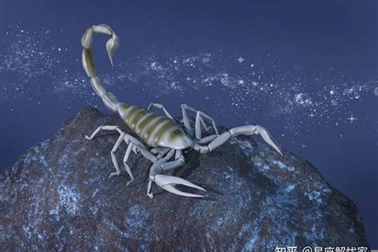 虎宝宝天蝎座好不好