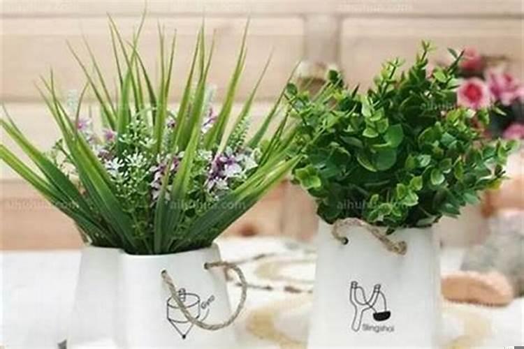 寓意好的办公桌绿植盆栽