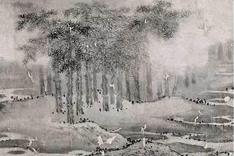 做梦梦见大山着火