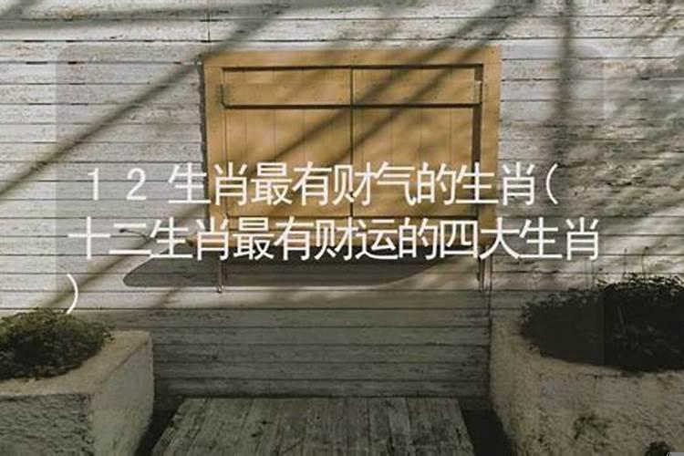 十二生肖谁最有财气