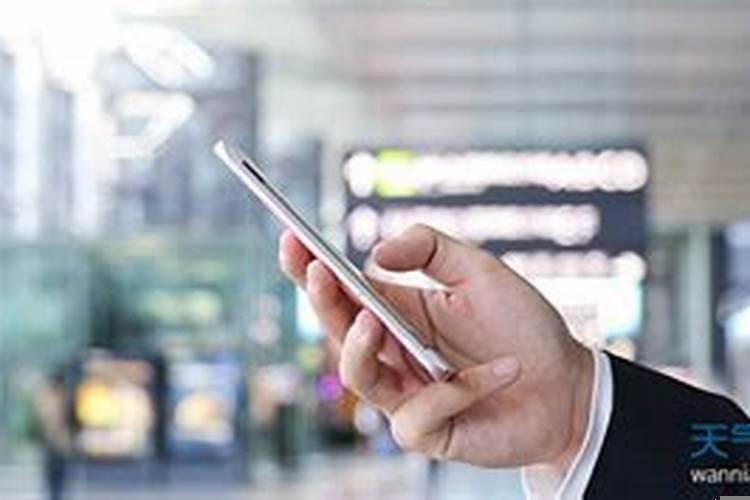 梦见猫生了小猫是什么意思