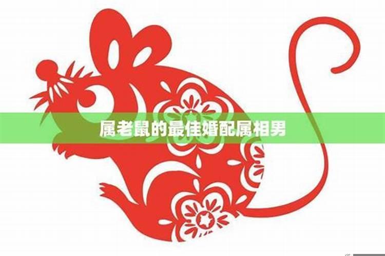 生肖鼠与各生肖婚配