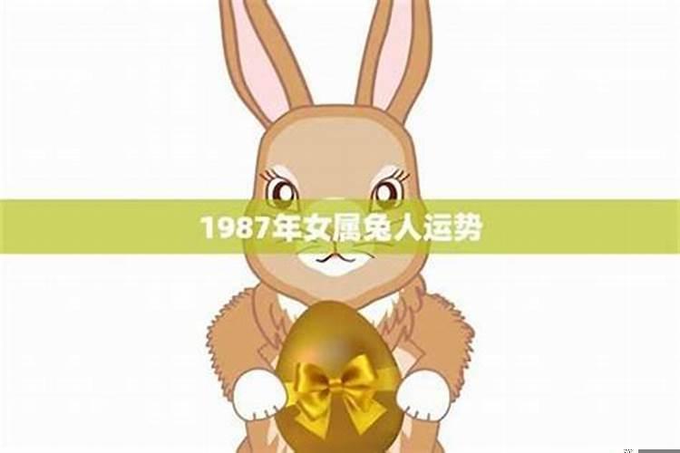 1987年属兔的财运方向