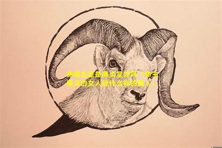 廉贞星长什么样子