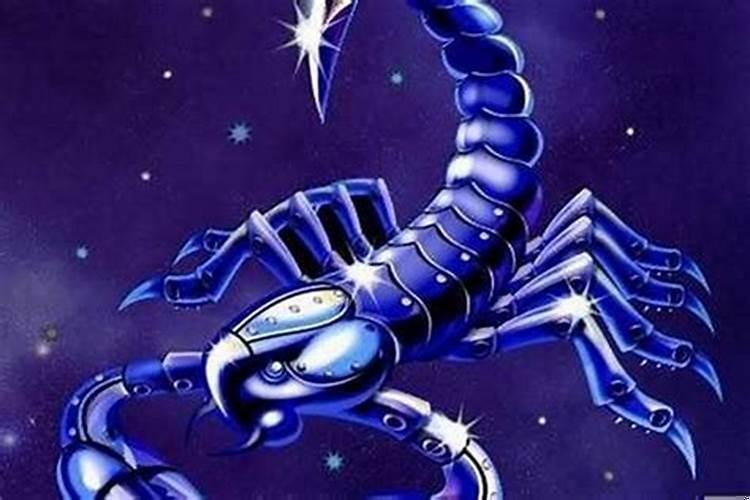 天蝎座的运势如何