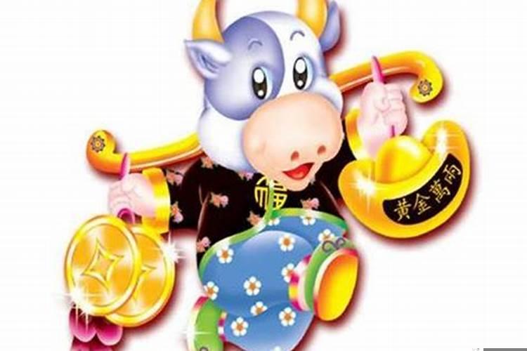 什么生肖胆小懦弱