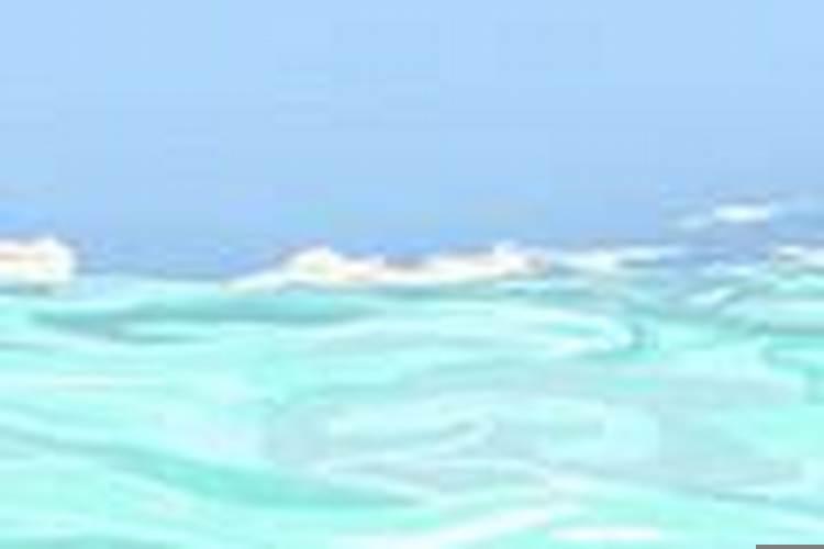 梦见屋顶流水有什么寓意嘛