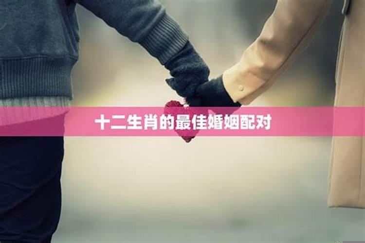 十二生肖十二生肖婚姻配对大全