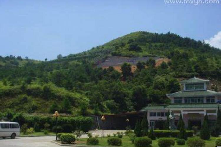 梦见亲人在火葬场被焚烧