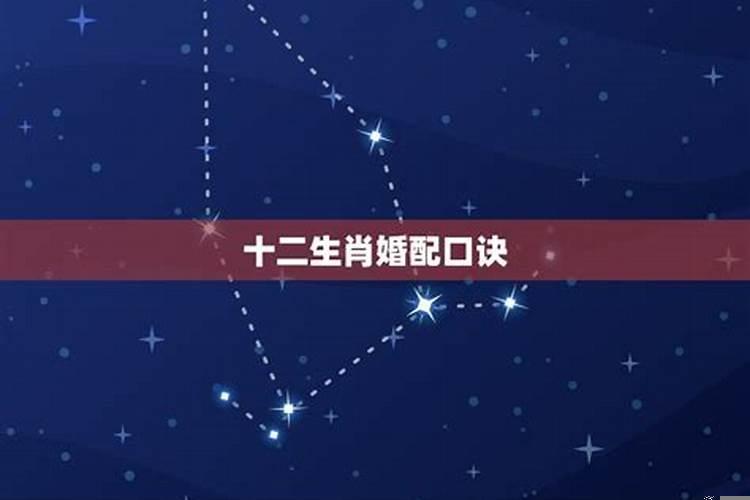 十二生肖十二生肖婚姻配对大全