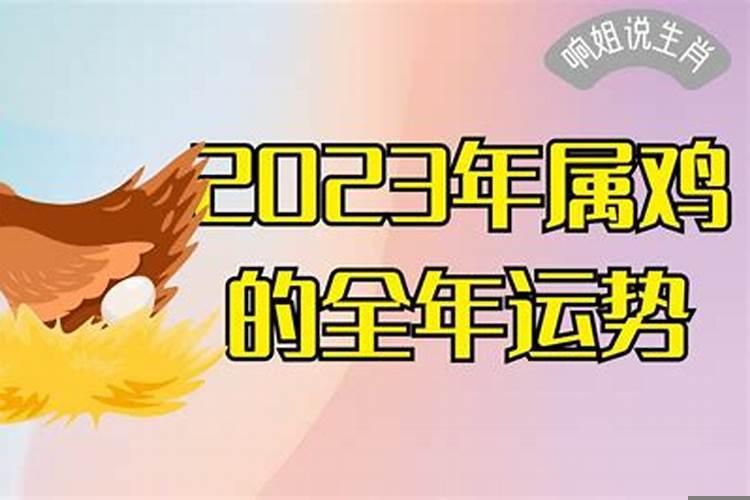 属鸡的在2022年运势