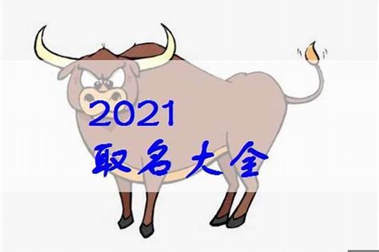 2025十一月份的牛是什么命