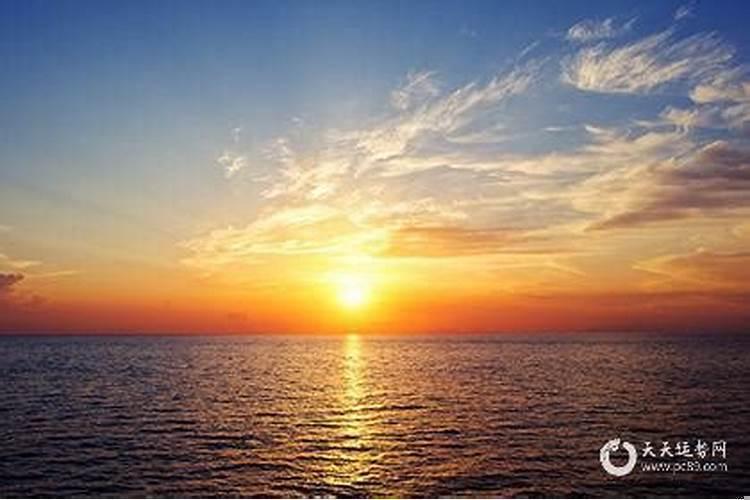 97年属牛找对象属什么最配合