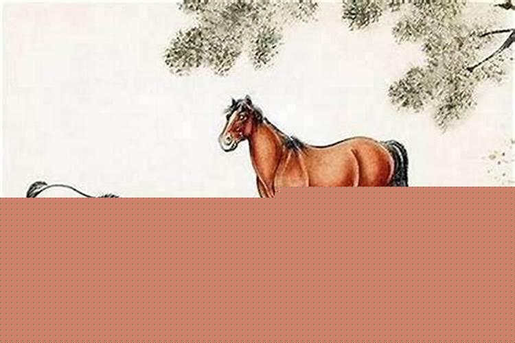 生肖马出生年份和岁数