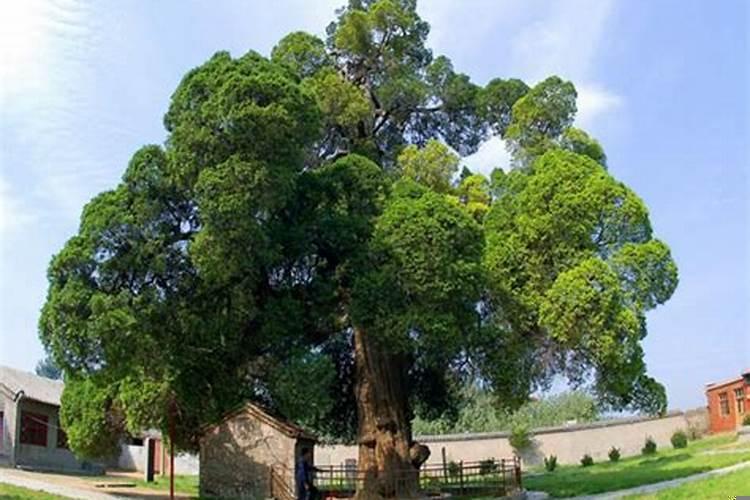 立体镜子放在家里什么位置最好