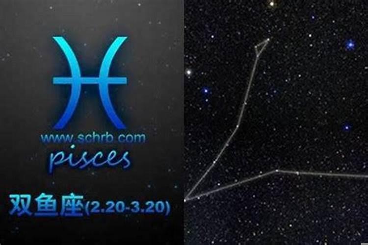 双鱼座聊天的表现