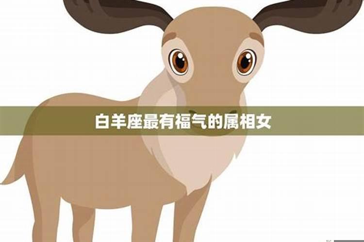 十大美女生肖最美是哪生肖