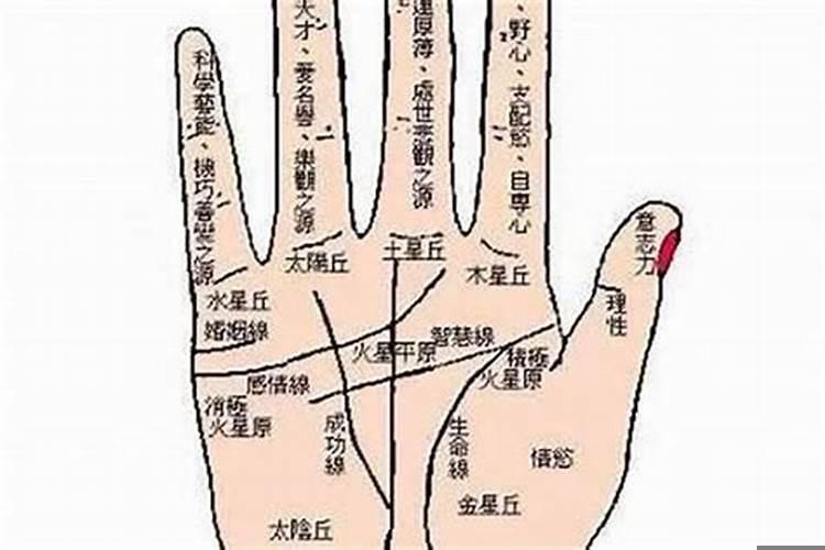 女人感情坎坷是什么意思