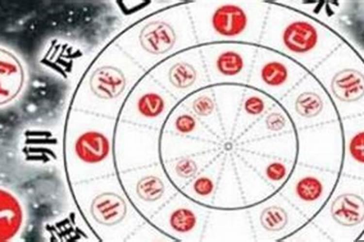 辰午酉亥是什么属相