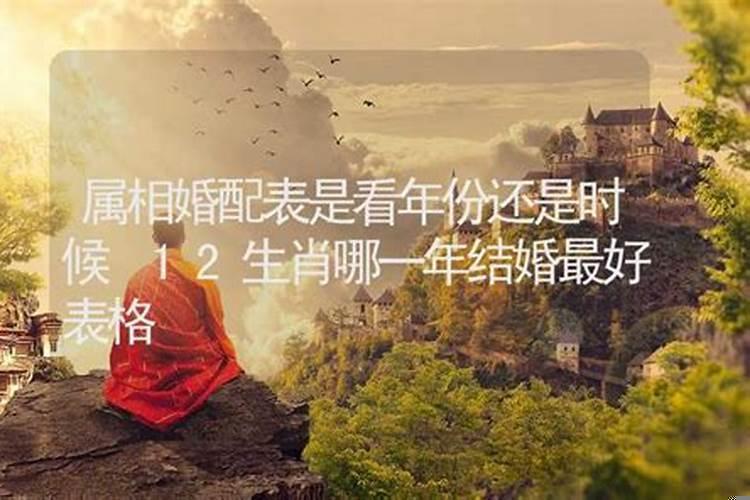 婚配需要看属相吗