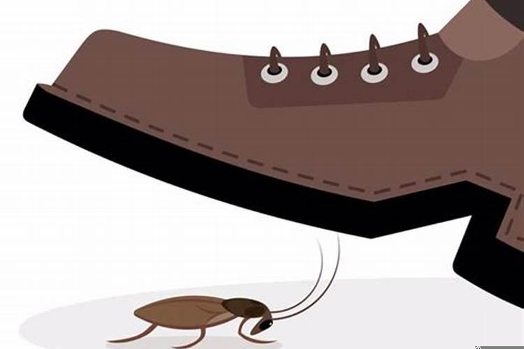 梦见很多老鼠往身上爬是怎么回事