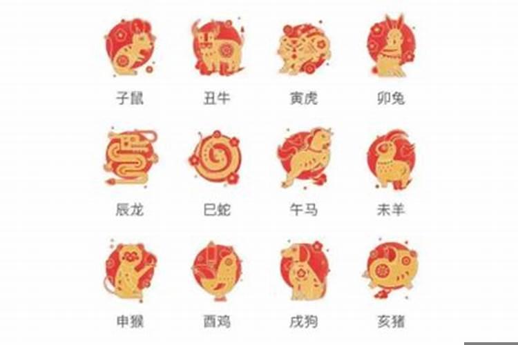 辰午酉亥是什么属相