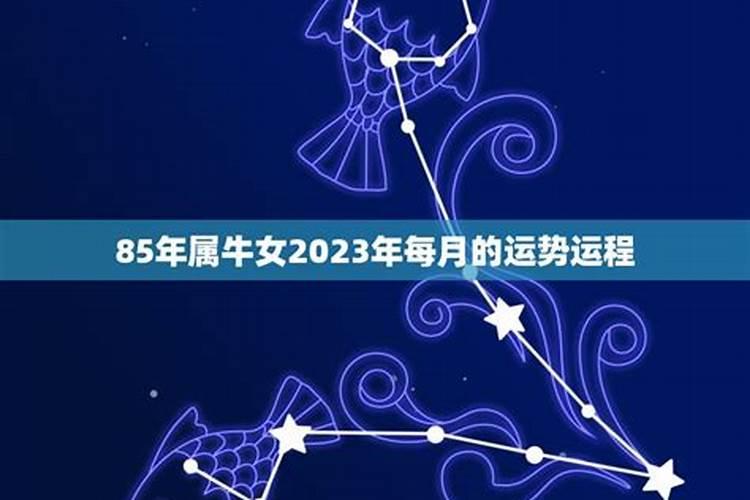 86年处女座2025年运势