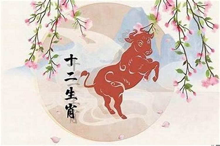 2025十一月份的牛是什么命