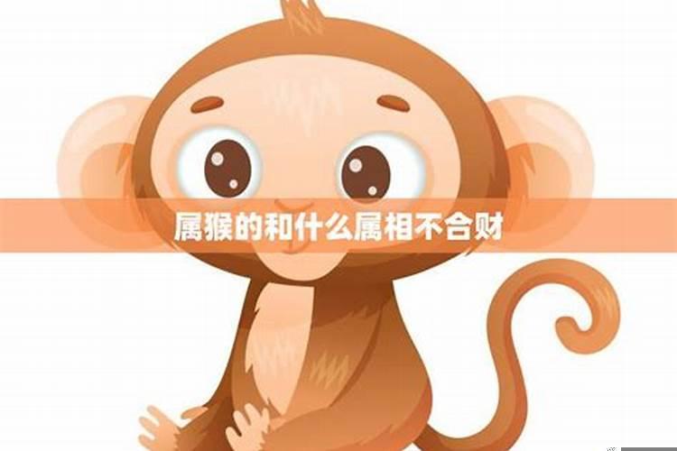 属猴的人和哪些属相合