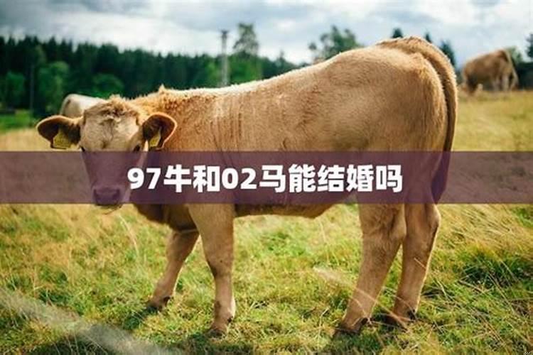 97年属牛2025年能结婚吗