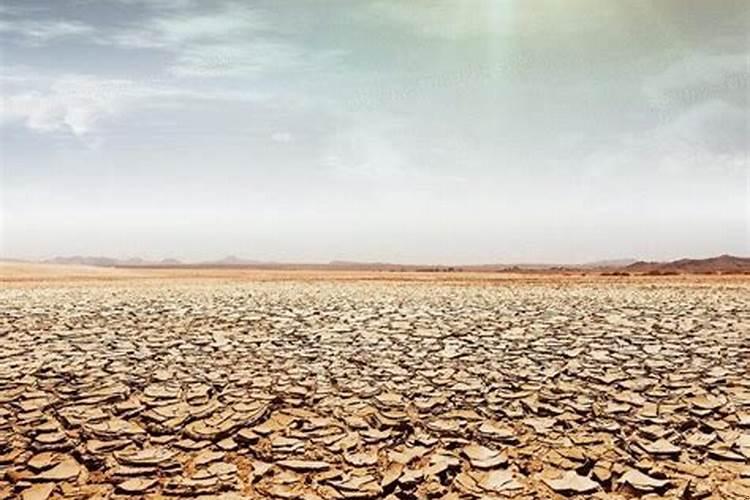 由于近期的干旱和高温