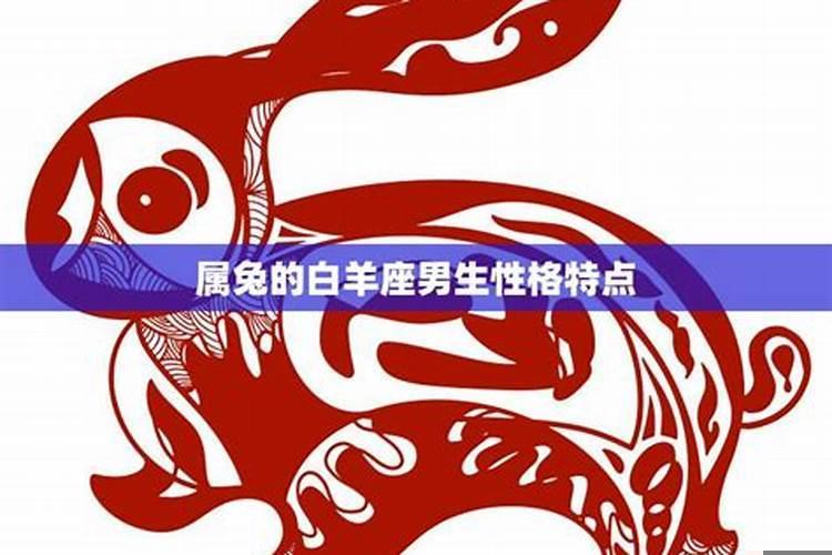 属兔白羊座男生性格