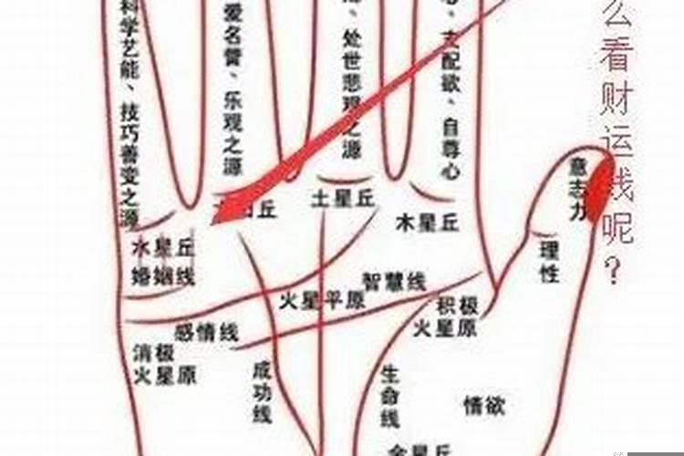 手相怎么看财运好不好