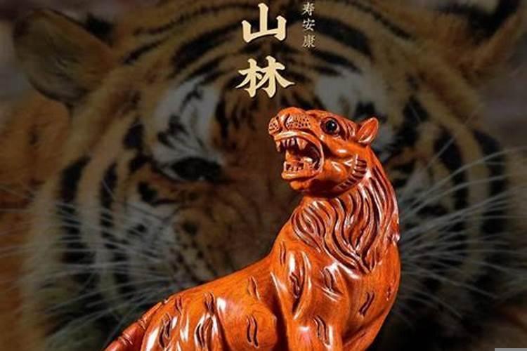 生肖虎的住房风水宜忌