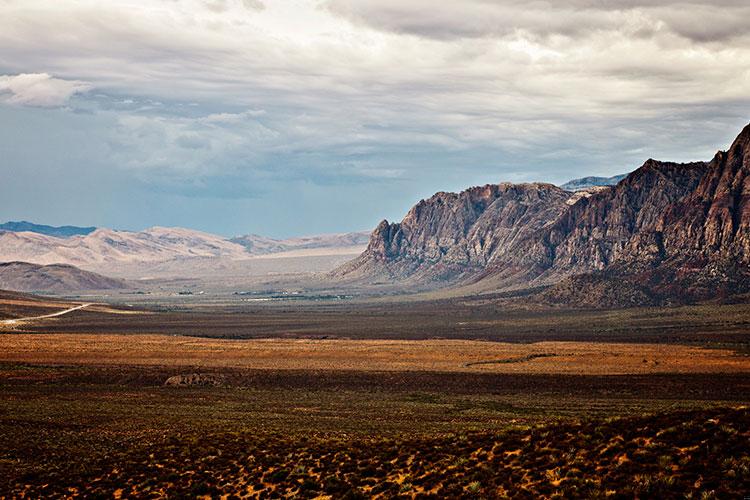 双鱼座的男生浪漫吗